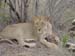 Africa0200