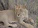 Africa0202