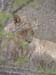 Africa0203
