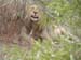 Africa0207