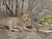 Africa0208