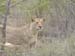 Africa0210