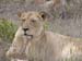 Africa0212