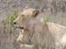 Africa0214