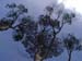 Africa0403