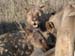 Africa0421