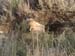 Africa0436