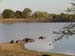 Africa0448