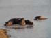 Africa0454