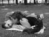 kisses_bw.JPG (103052 bytes)